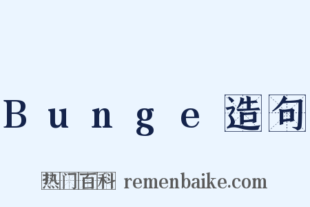 Bunge造句是什么意思的图片